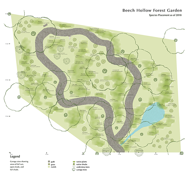 Beech Hollow Forest Garden