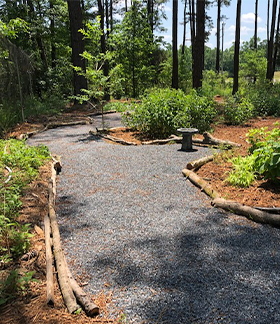 A wide rock path winds through the forest garden of Beech Hollow Farm in Lexington, GA.