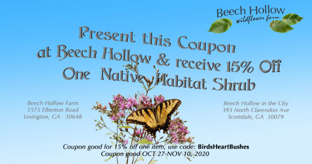 Present this coupon at Beech Hollow and recieve 15% off one native habitat shrub. Coupon good for 15% off one item, use code: BirdsHeartBushes. Coupon good Oct 27-Nov 10, 2020