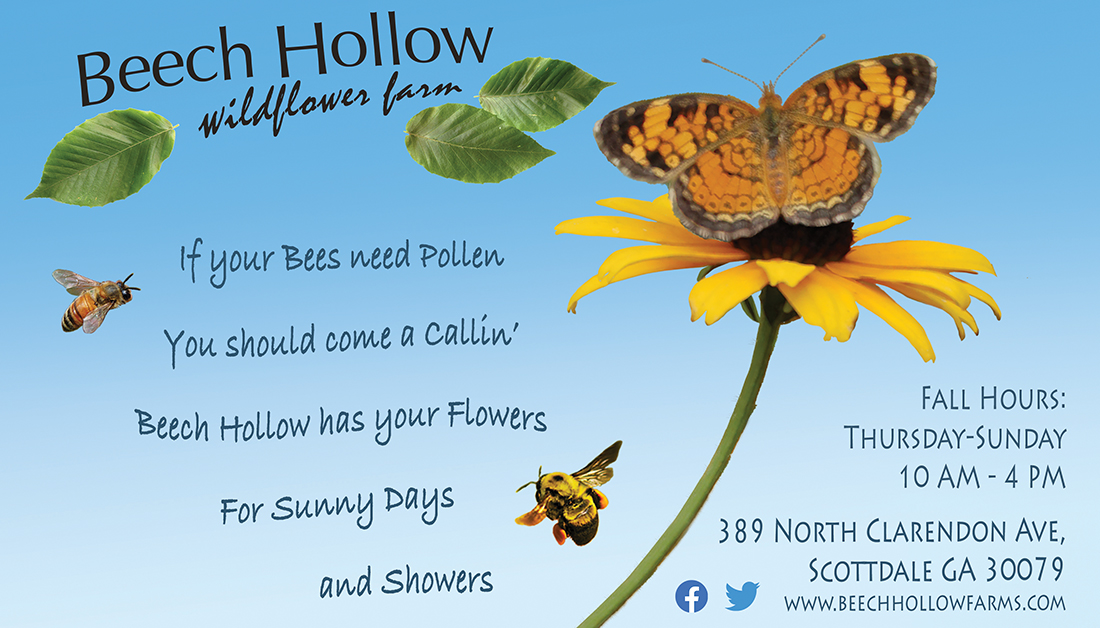If your bees need pollen, you should come a callin', Beech Hollow has your Flowers, For sunny days and showers. Fall hours: Thursday-Sunday 10am-4pm. 389 North Clarendon Ave, Scottdale, GA 30079. www.beechhollowfarms.com