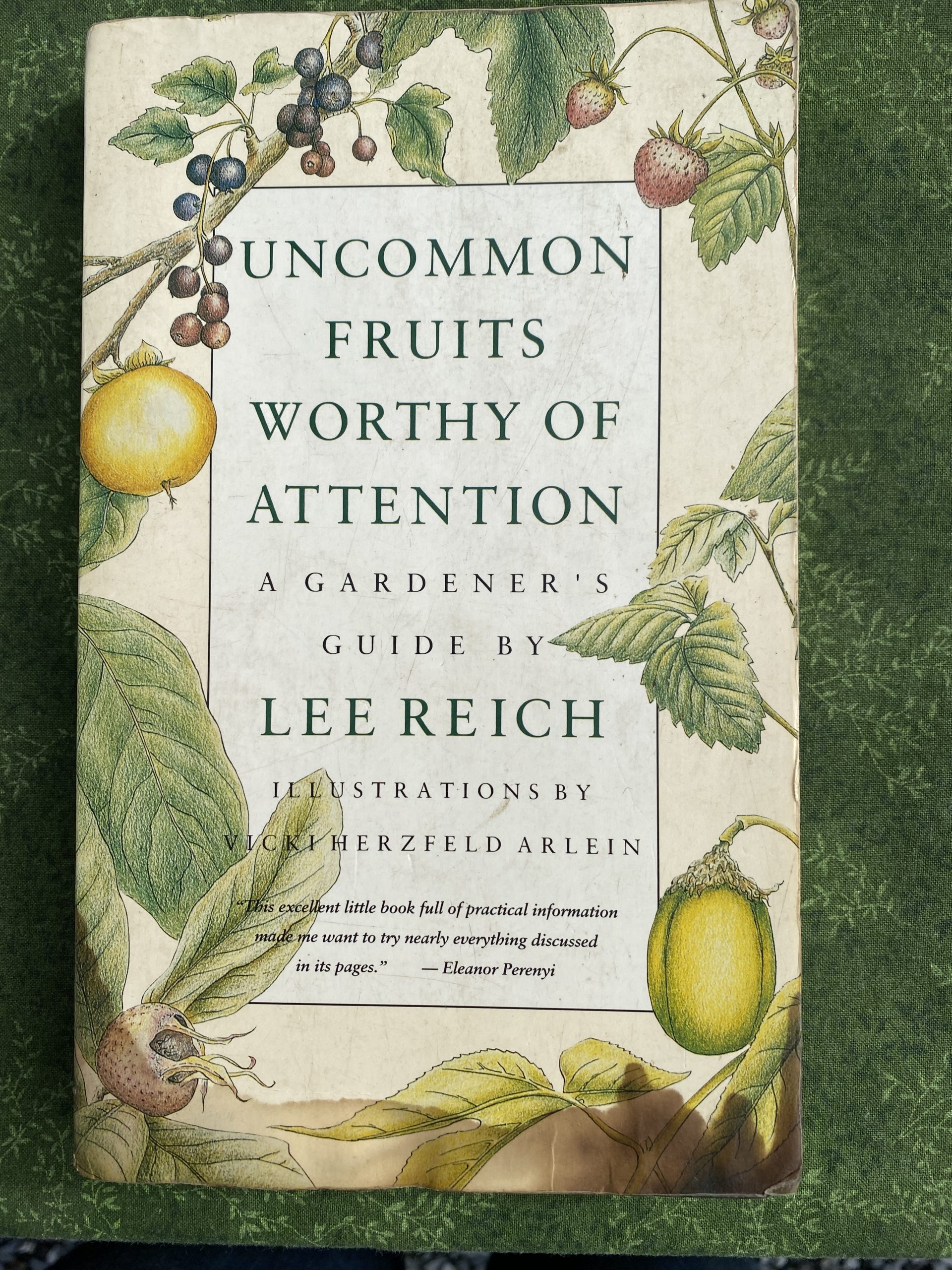 Uncommon Fruits Worthy of Attention: A Gardener's Guide by Lee Reich