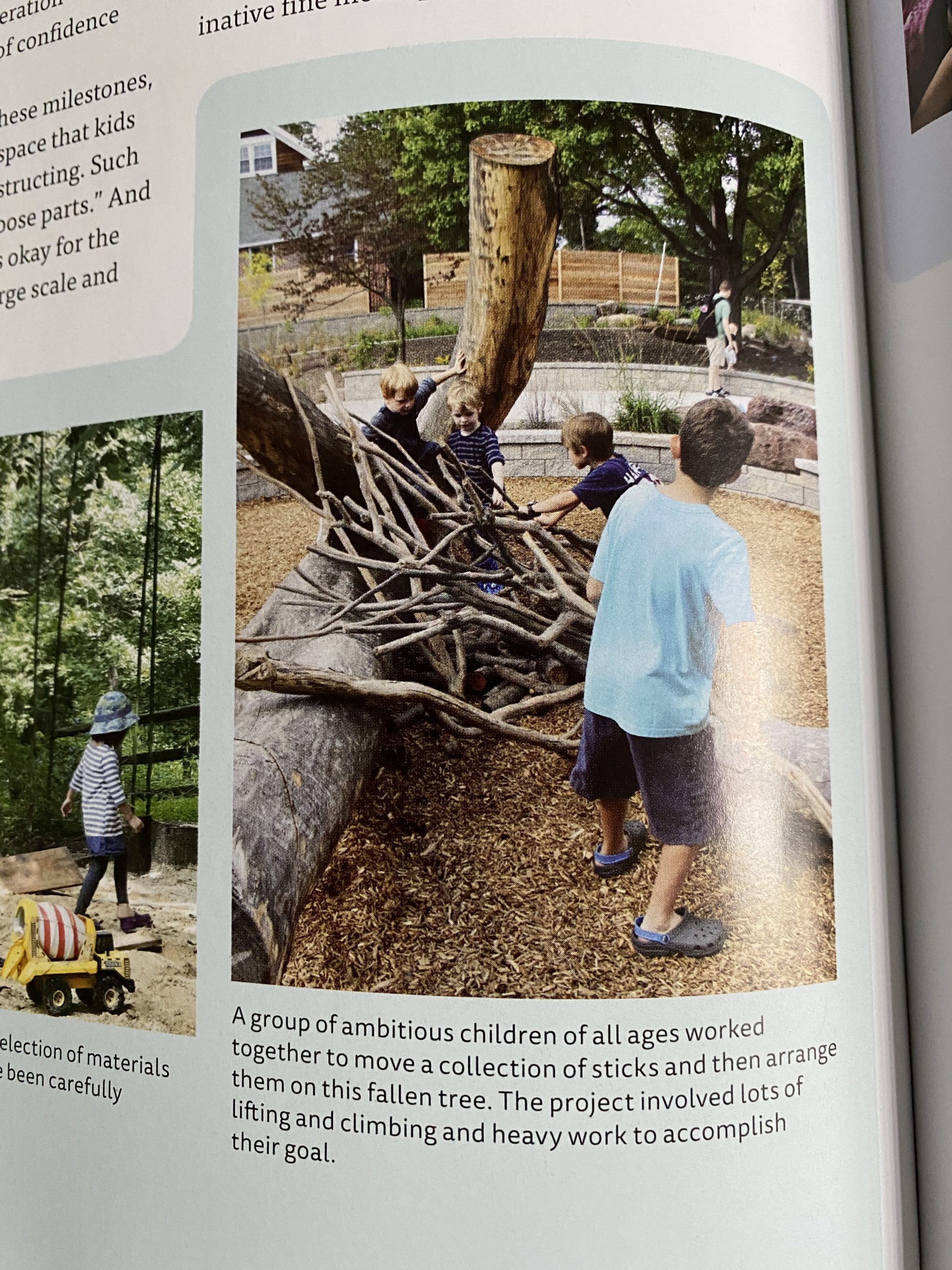 A group of ambitious children of all ages worked together to move a collection of sticks and then arrange them on this fallen tree. The project involved lots of lifting and climbing and heavy work to accomplish their goal