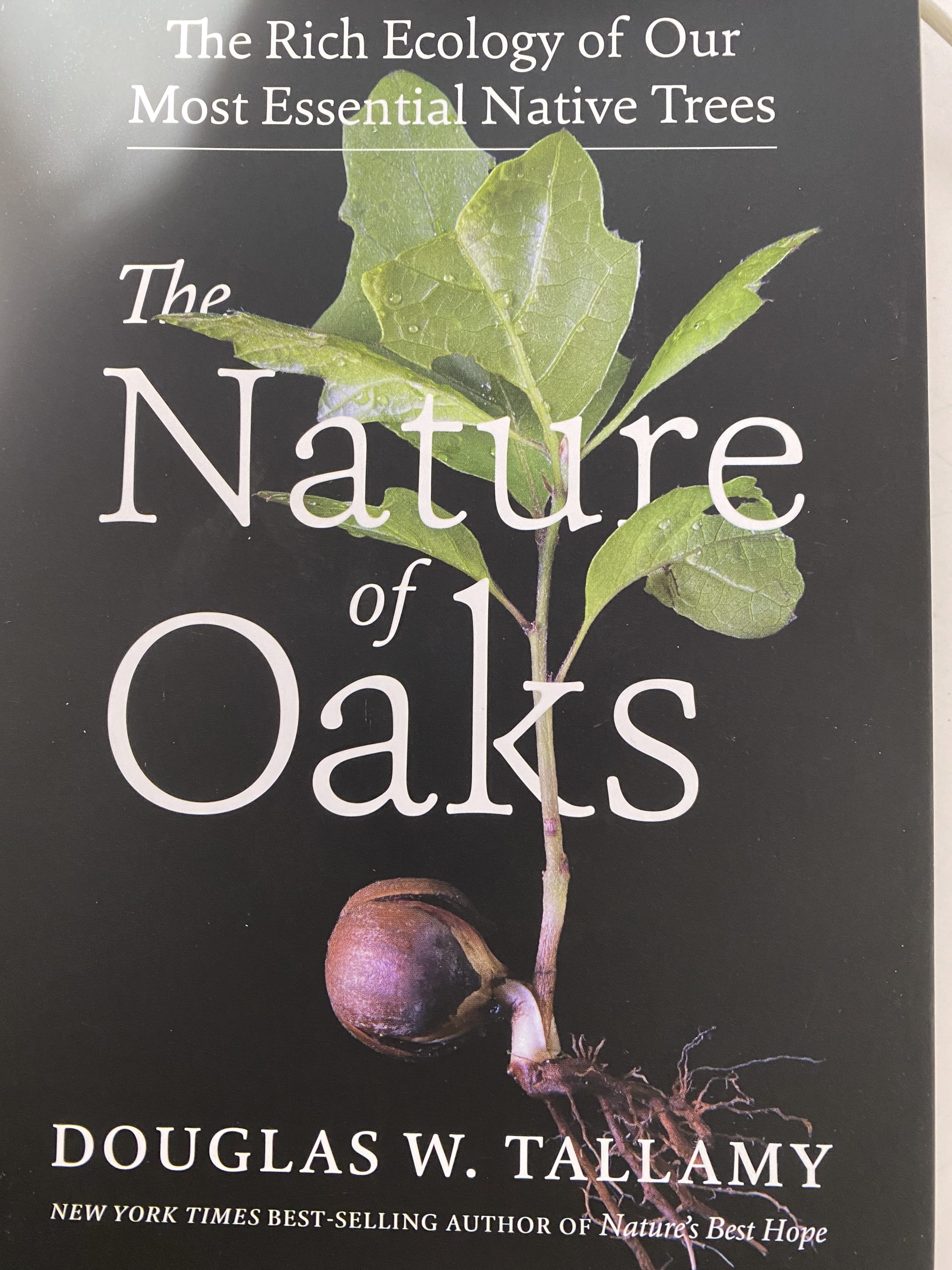 book cover of "The Nature of Oaks" by Douglas Tallamy