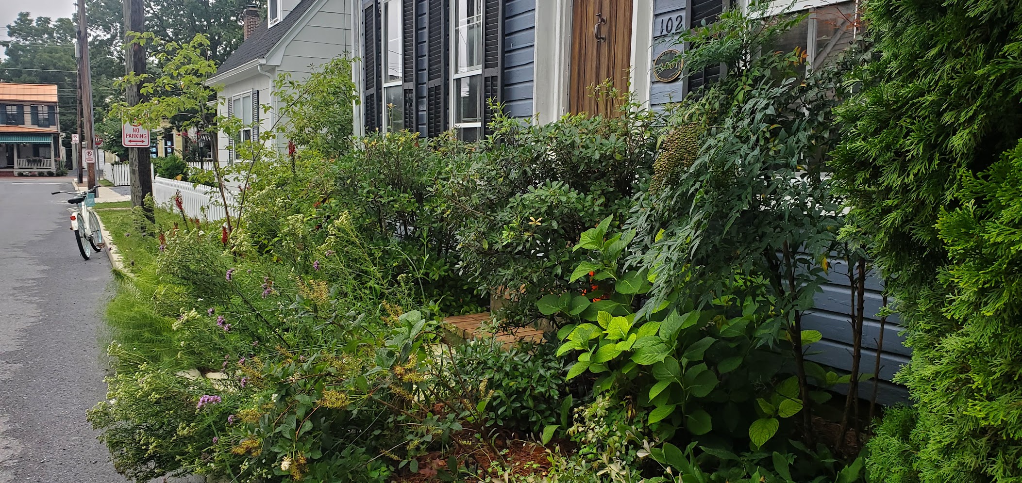diverse plantings along a narrow strip of land between the street and house