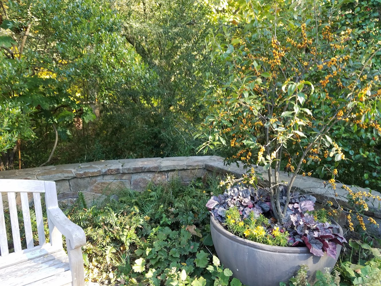 A large pot containing multiple plants sits next to a wooden bench and in the corner of a stone walled terrace.