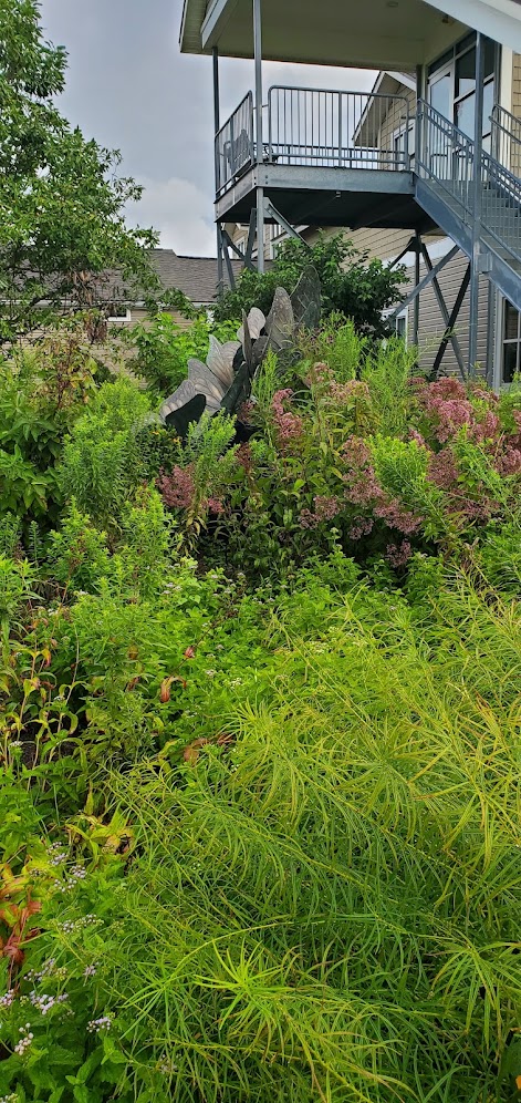 diverse plantings in a field next to an apartment complex