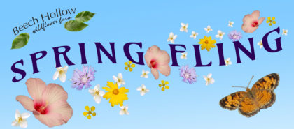 beech hollow wildflower farm "spring fling" banner