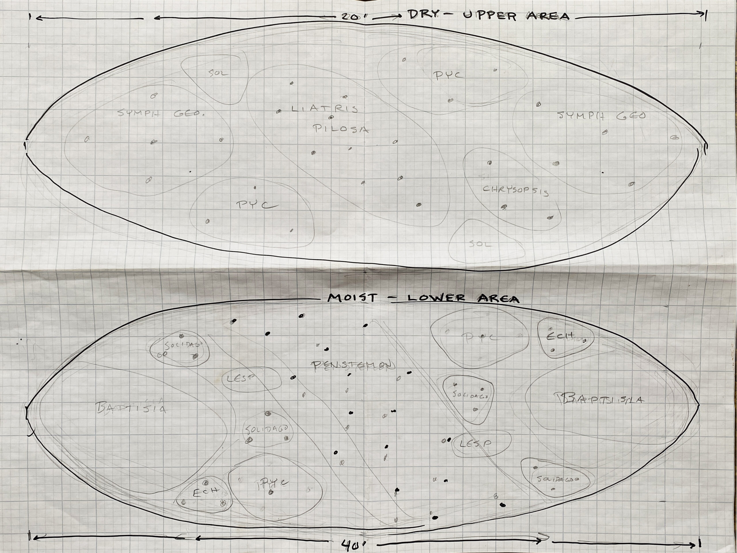 Planting plans for the prairie ellipses. The total area is currently 520 feet long by 155 feet wide. There are plans to enlarge the area to 15 acres.