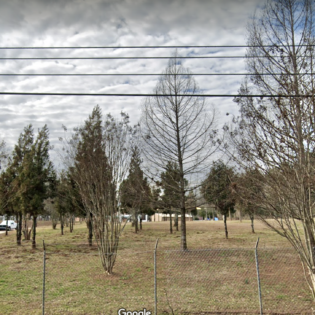 Beyond a chain-link fence, a clipped lawn is scattered with trees which reach toward powerlines. The composition and placement of plantings gives an unnatural appearance to this landscape.