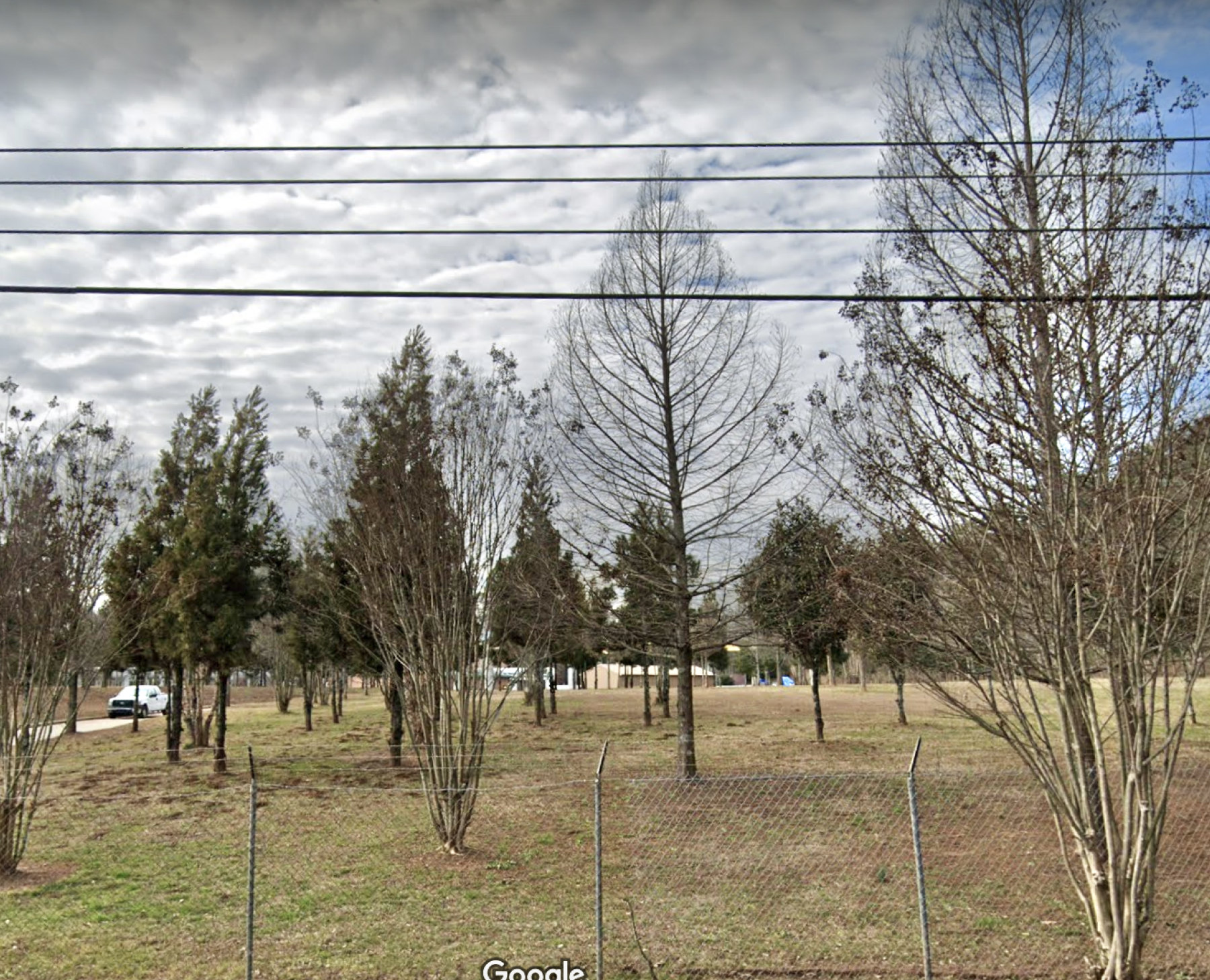 Beyond a chain-link fence, a clipped lawn is scattered with trees which reach toward powerlines. The composition and placement of plantings gives an unnatural appearance to this landscape.
