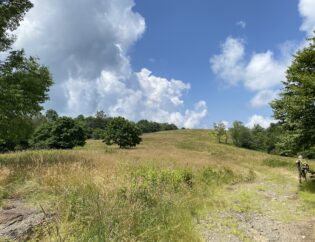 Small trees and rocky outcrops dot the lush grassland of Whiggs Meadow prairie in Tennessee. A trail winds up its rolling slopes. Clouds billow across open sky.