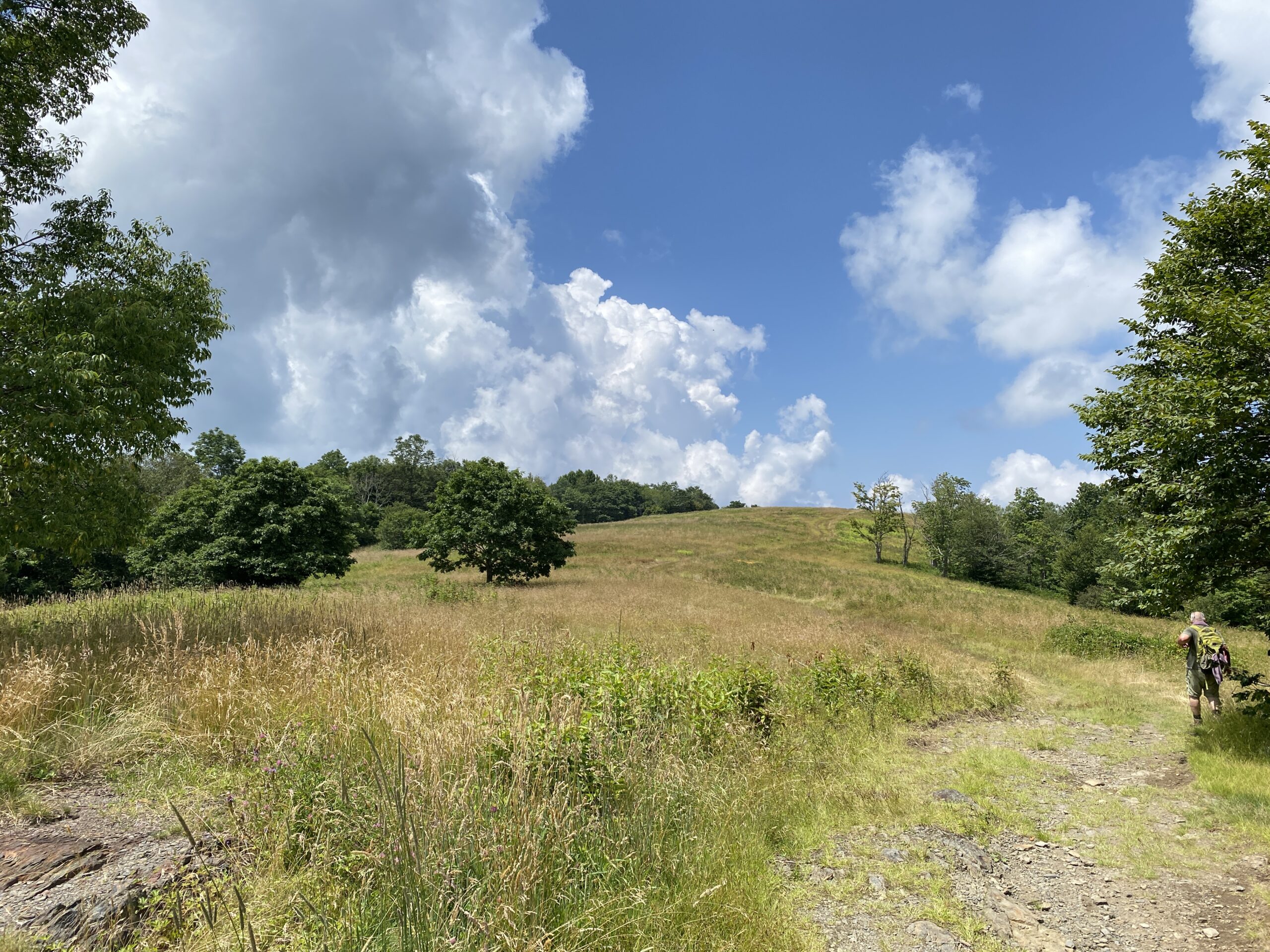 Small trees and rocky outcrops dot the lush grassland of Whiggs Meadow prairie in Tennessee. A trail winds up its rolling slopes. Clouds billow across open sky.