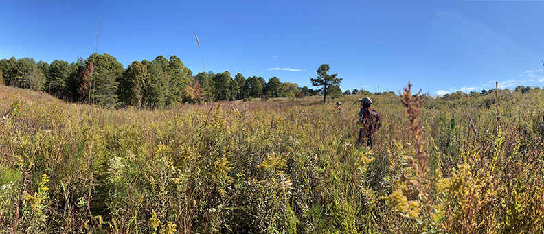 Kelton and Carly hike a rolling grassland in the Chattahoochee National Forest. The meadow’s edge rises to a distant treeline beneath a vast blue sky.