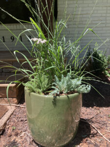 Green ceramic planter with native plants and a succulent.