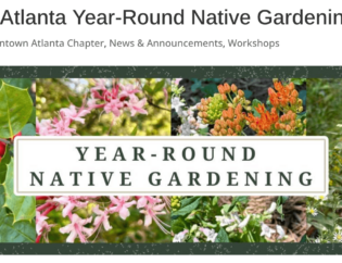 Pink, white, and orange native flowers and red berries with text in the middle that says "Year-Round Native Gardening"