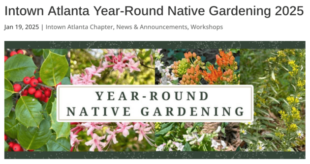 Pink, white, and orange native flowers and red berries with text in the middle that says "Year-Round Native Gardening"