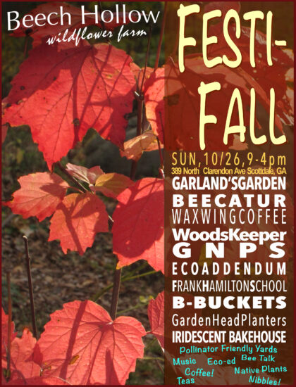 Red leaves with text on top about the Fall Festival at Beech Hollow Farm 2025