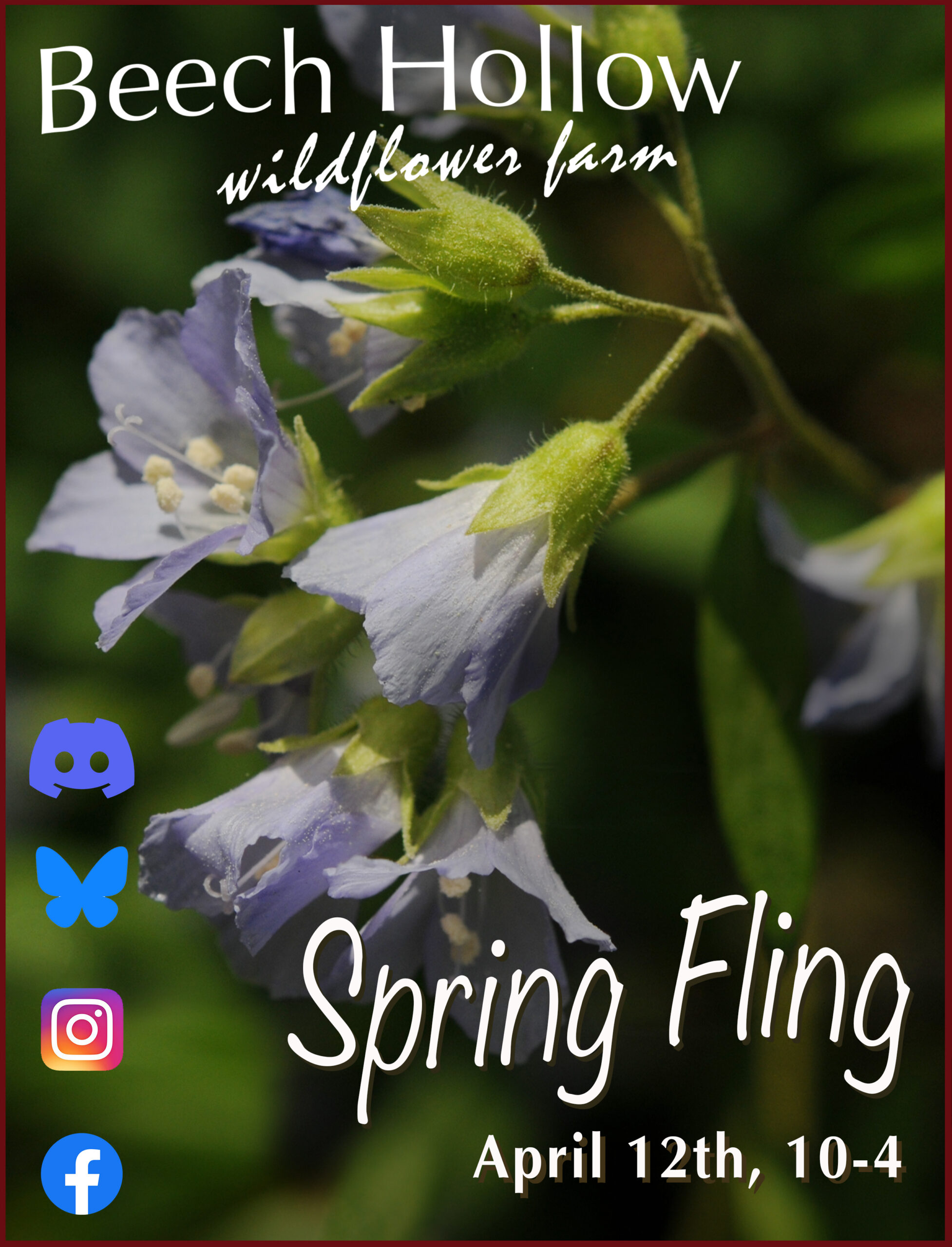 Beech Hollow's Spring Fling event April 12th features: native plants, garden tips, presentations on spring wildflowers & Chattahoochee Park.