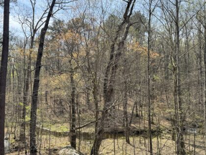 Stone Mountain spring landscape