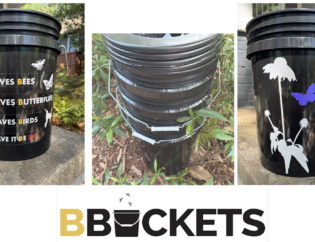 B-Buckets