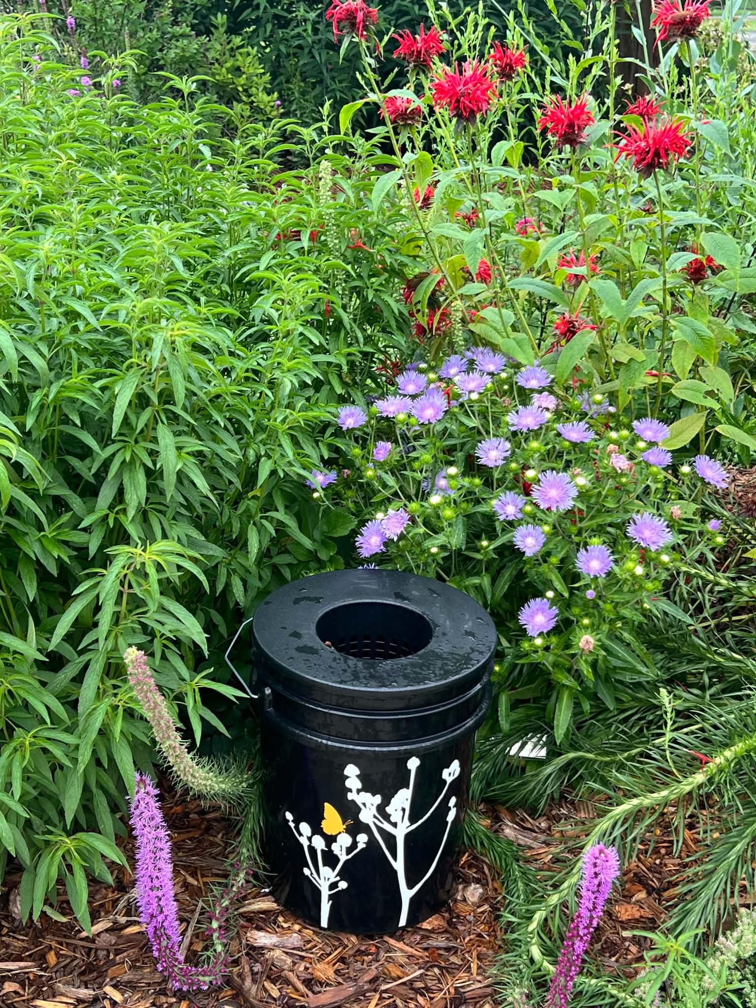 BBucket with flowers, photo by Shannon Balestrini